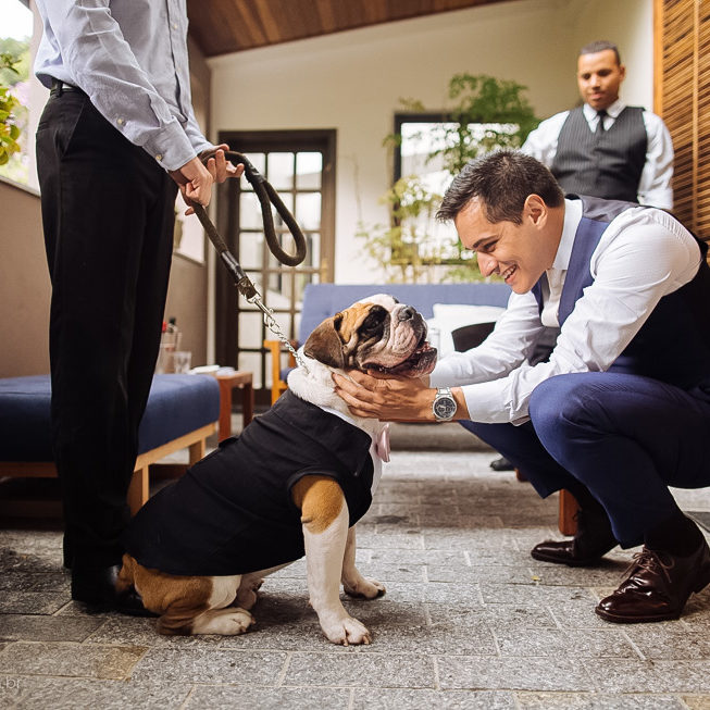 Pets no casamento