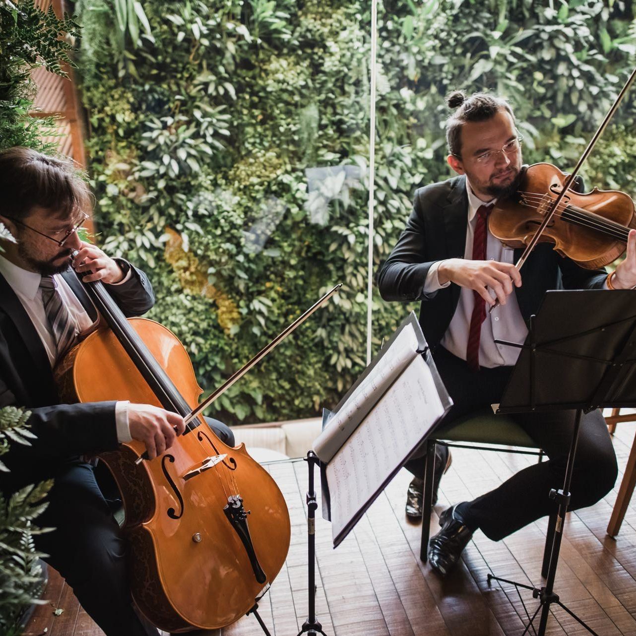 Musiccata