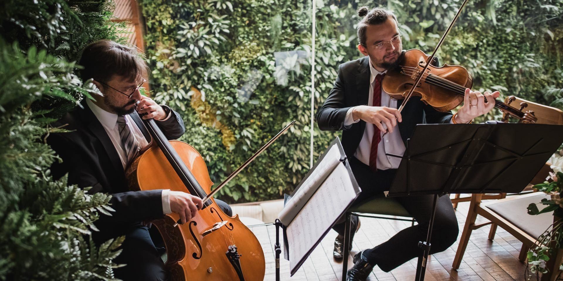 Musiccata