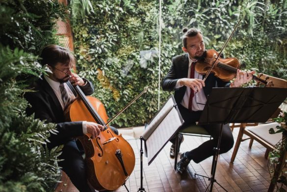 Musiccata