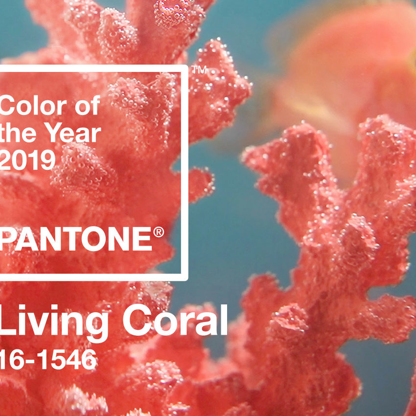 Living Coral: a cor do ano 2019 eleita pela Pantone