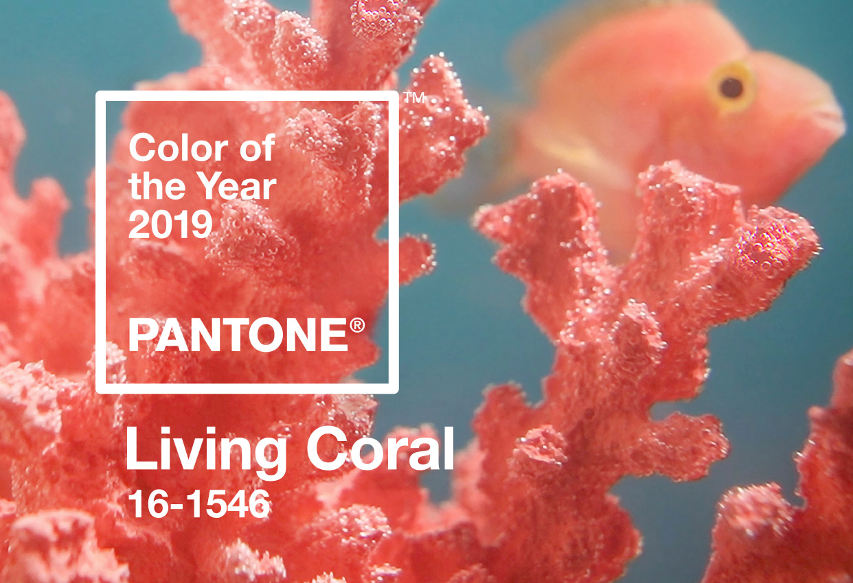 Living Coral: a cor do ano 2019 eleita pela Pantone Living Coral: a cor do ano 2019 eleita pela Pantone