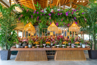 Vila Bosque Bambu